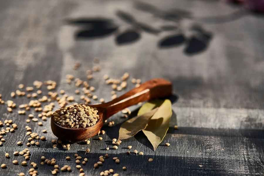Coriander Seed Eagle