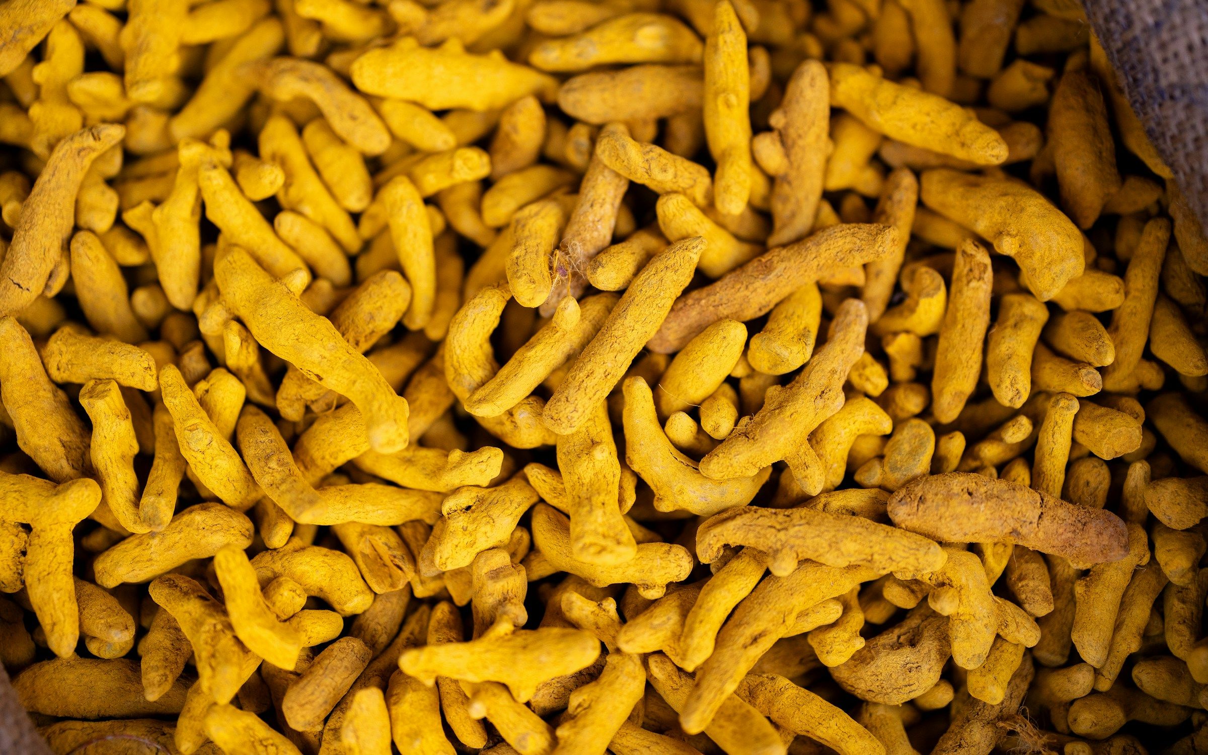Dried turmeric fingers at market